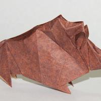 Wild Boar