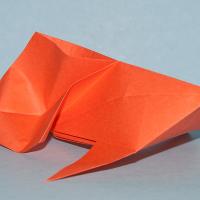 Goldfish