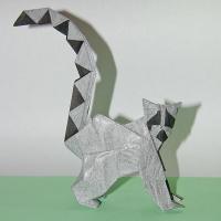 Ring-tailed Lemur