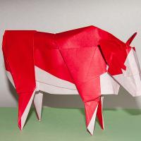Hereford Steer