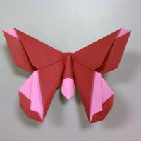 The Lillian (Butterfly)