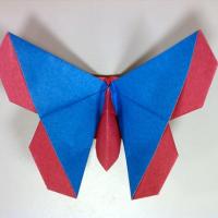 Emiko Fritillary (Butterfly)