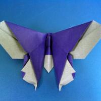 The Michael Shall (Butterfly)