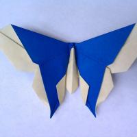 The Nolan (Butterfly)