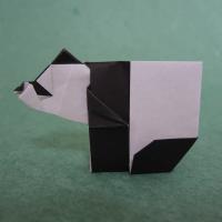 Giant panda