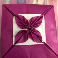 Nicola's Cloverleaf