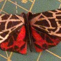 Cream-Spot Tiger Moth