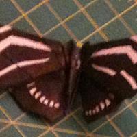 Zebra Longwing