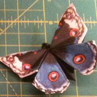 Blue Pansy