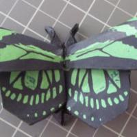 Dido Longwing