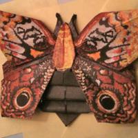 Owl Mouth