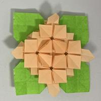 Hydrangea's Basic Form E variation