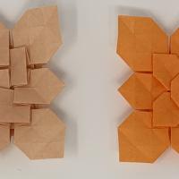 Hydrangea's Basic Form F variation