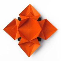 Fiore o stella 3