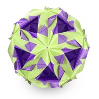 Starflower