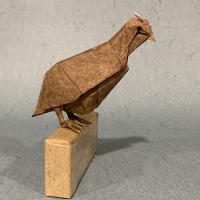 Bobwhite Quail