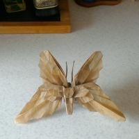 Butterfly TH