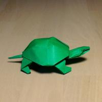 Turtle