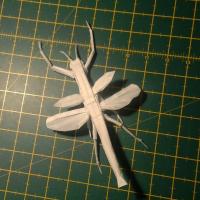 Flying Walking Stick