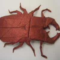 Stag Beetle