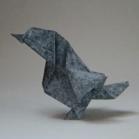 Sparrow