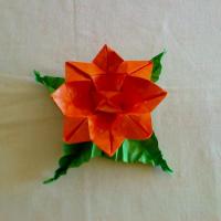 Lotus (Oribana Display)