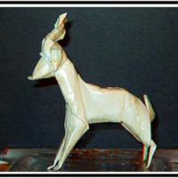 Stag