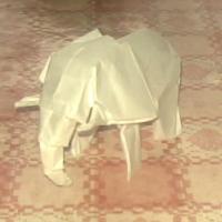 African Elephant
