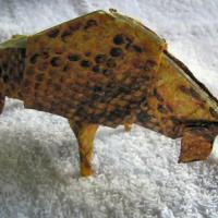 Bison