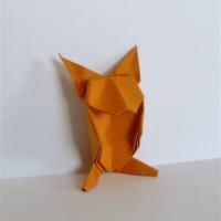 Shy Young Hare