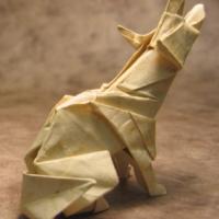 Coyote