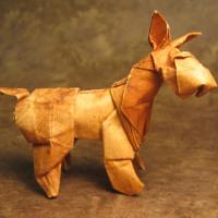 Fox Terrier