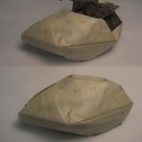 Hatching penguin