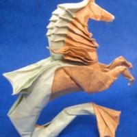 Hippocampus