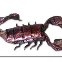 SCORPION
