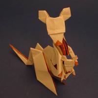 Kangaroo
