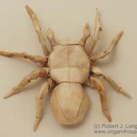 Tarantula