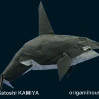 Orca