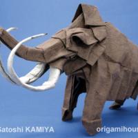 Mammuthus primigenius
