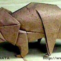 Triceratops