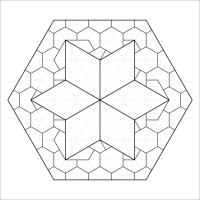 1-Star Exercise