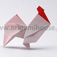 Rooster