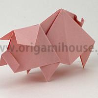 Pig