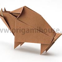 Boar