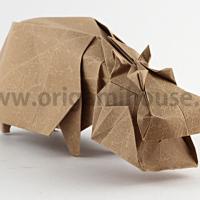 Hippopotamus