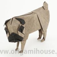 Pug