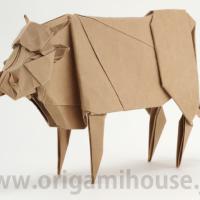Cattle