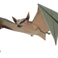 Bat