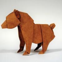 Bear Cub