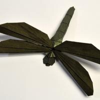 Simple Dragonfly